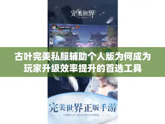 古叶完美私服辅助个人版为何成为玩家升级效率提升的首选工具