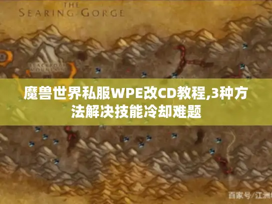魔兽世界私服WPE改CD教程,3种方法解决技能冷却难题