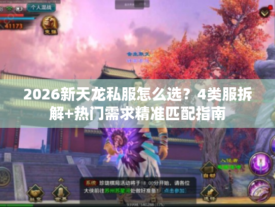 2026新天龙私服怎么选？4类服拆解+热门需求精准匹配指南
