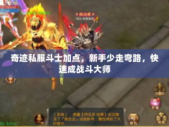 奇迹私服斗士加点，新手少走弯路，快速成战斗大师