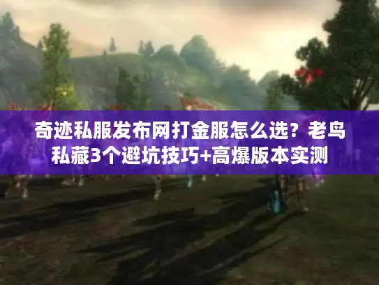 奇迹私服发布网打金服怎么选？老鸟私藏3个避坑技巧+高爆版本实测