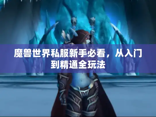 魔兽世界私服新手必看，从入门到精通全玩法