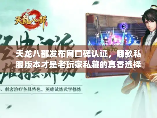 天龙八部发布网口碑认证，哪款私服版本才是老玩家私藏的真香选择？