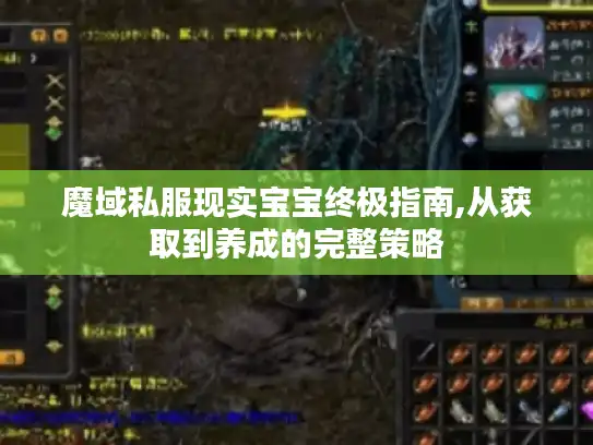 魔域私服现实宝宝终极指南,从获取到养成的完整策略