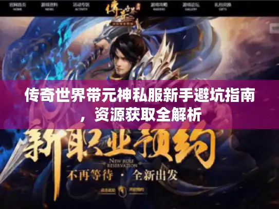 传奇世界带元神私服新手避坑指南，资源获取全解析