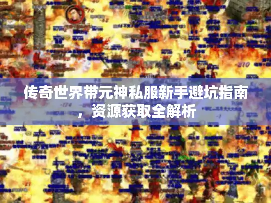 传奇世界带元神私服新手避坑指南，资源获取全解析