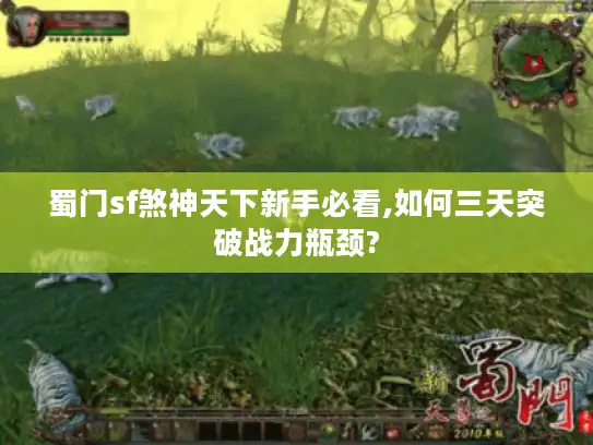 蜀门sf煞神天下新手必看,如何三天突破战力瓶颈?