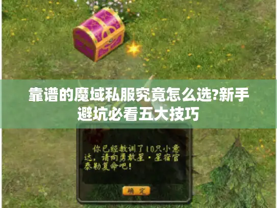 靠谱的魔域私服究竟怎么选?新手避坑必看五大技巧