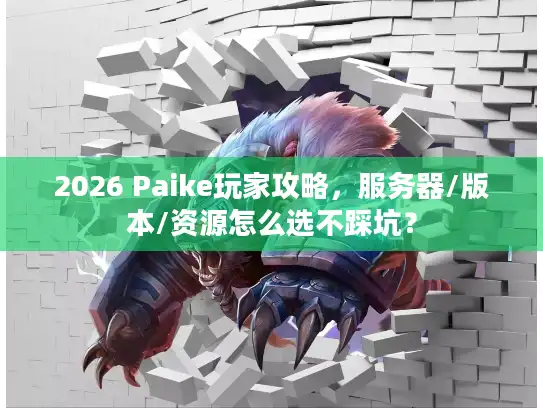 2026 Paike玩家攻略，服务器/版本/资源怎么选不踩坑？