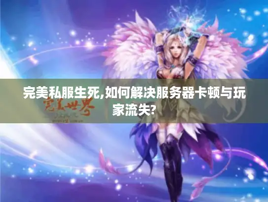 完美私服生死,如何解决服务器卡顿与玩家流失?
