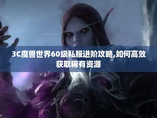 3C魔兽世界60级私服进阶攻略,如何高效获取稀有资源