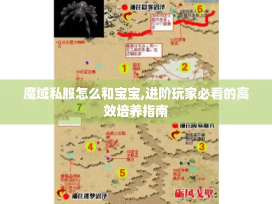 魔域私服怎么和宝宝,进阶玩家必看的高效培养指南