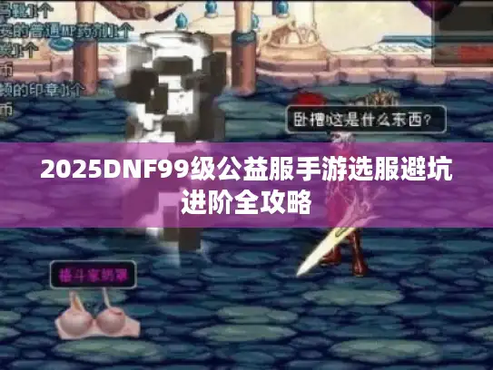 2025DNF99级公益服手游选服避坑进阶全攻略