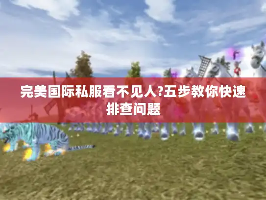 完美国际私服看不见人?五步教你快速排查问题