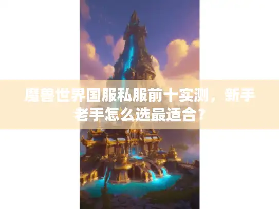 魔兽世界国服私服前十实测,新手老手怎么选最适合? 魔兽世界国服私服前十实测,新手老手怎么选最适合?