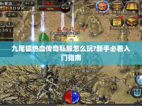 九尾狐热血传奇私服怎么玩?新手必看入门指南