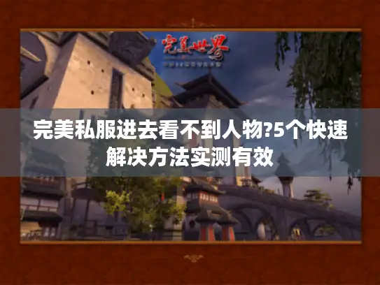 完美私服进去看不到人物?5个快速解决方法实测有效