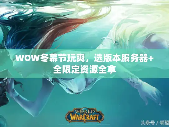 WOW冬幕节玩爽，选版本服务器+全限定资源全拿