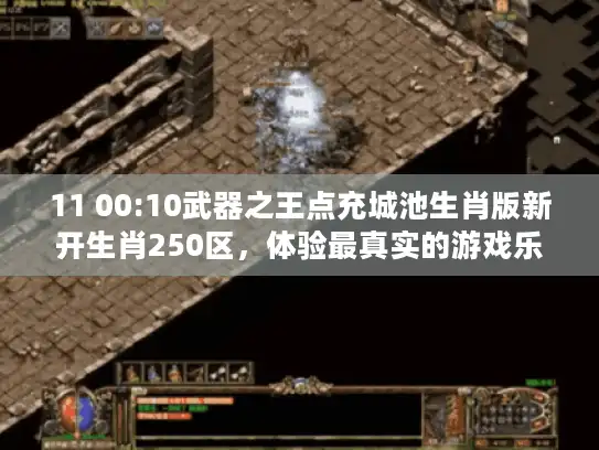 11 00:10武器之王点充城池生肖版新开生肖250区，体验最真实的游戏乐趣