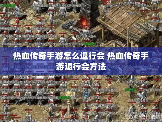 热血传奇手游怎么退行会 热血传奇手游退行会方法