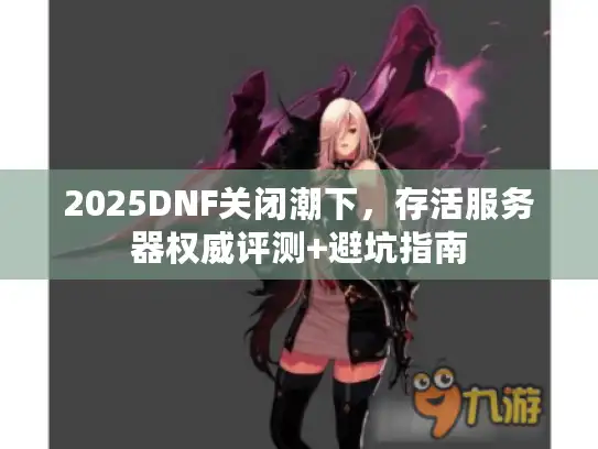 2025DNF关闭潮下，存活服务器权威评测+避坑指南