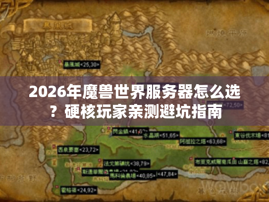 2026年魔兽世界服务器怎么选？硬核玩家亲测避坑指南