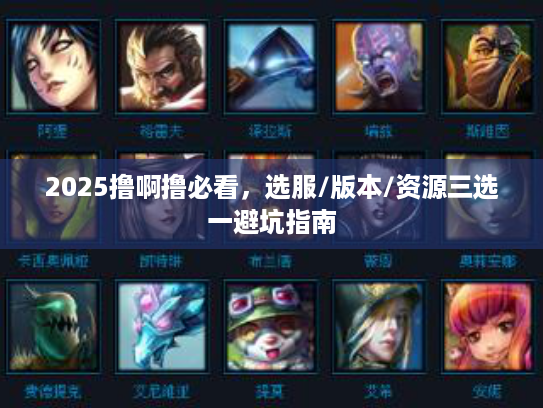 2025撸啊撸必看,选服/版本/资源三选一避坑指南 2025撸啊撸必看,选服/版本/资源三选一避坑指南