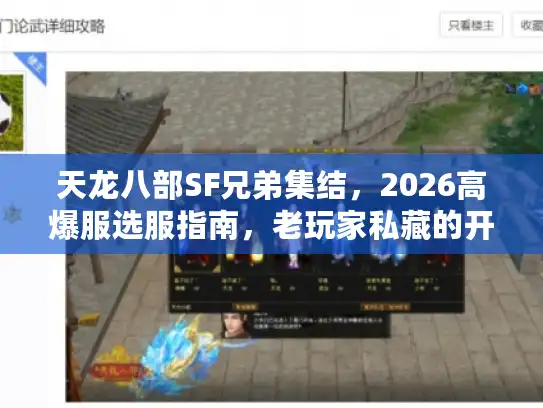天龙八部SF兄弟集结，2026高爆服选服指南，老玩家私藏的开荒秘籍