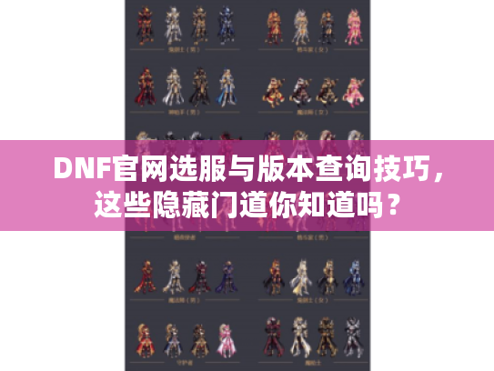 DNF官网选服与版本查询技巧，这些隐藏门道你知道吗？