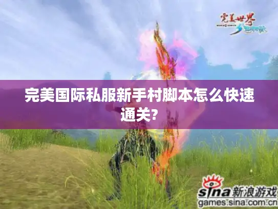 完美国际私服新手村脚本怎么快速通关? 完美国际私服新手村脚本怎么快速通关?