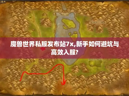 魔兽世界私服发布站7x,新手如何避坑与高效入服?
