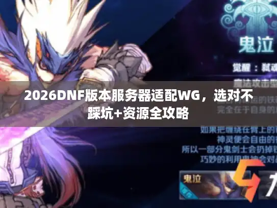 2026DNF版本服务器适配WG，选对不踩坑+资源全攻略