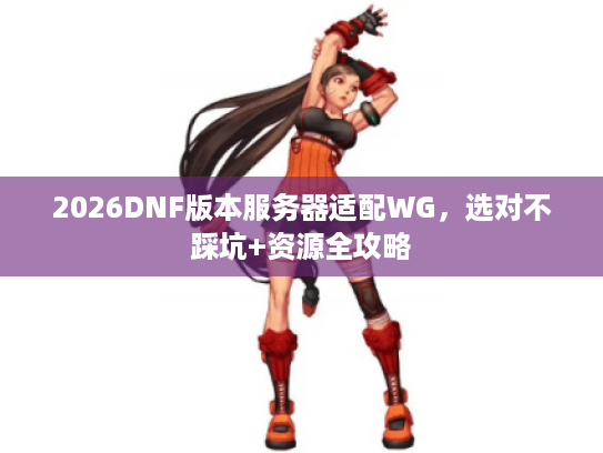 2026DNF版本服务器适配WG，选对不踩坑+资源全攻略