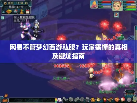 网易不管梦幻西游私服？玩家需懂的真相及避坑指南