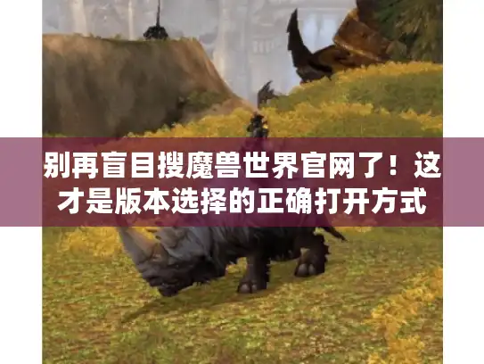 别再盲目搜魔兽世界官网了！这才是版本选择的正确打开方式