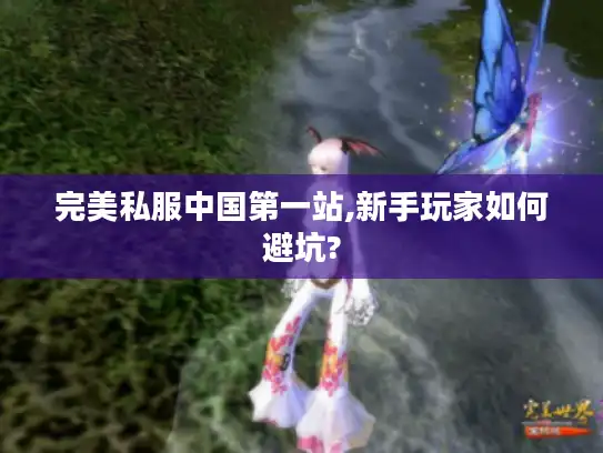 完美私服中国第一站,新手玩家如何避坑?