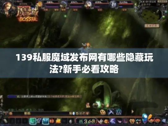 139私服魔域发布网有哪些隐藏玩法?新手必看攻略