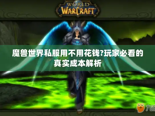魔兽世界私服用不用花钱?玩家必看的真实成本解析 魔兽世界私服用不用花钱?玩家必看的真实成本解析