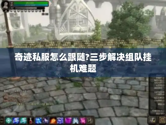 奇迹私服怎么跟随?三步解决组队挂机难题