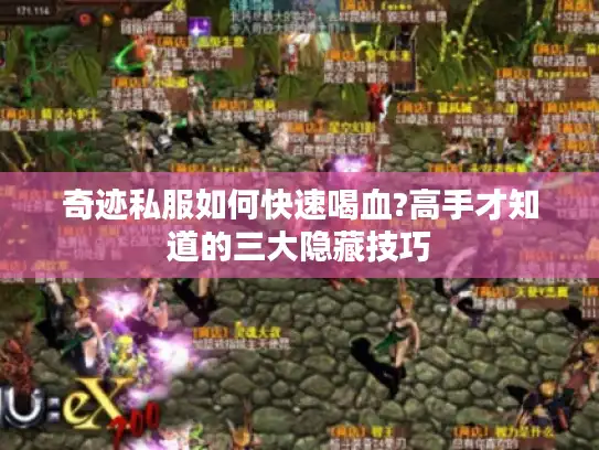 奇迹私服如何快速喝血?高手才知道的三大隐藏技巧