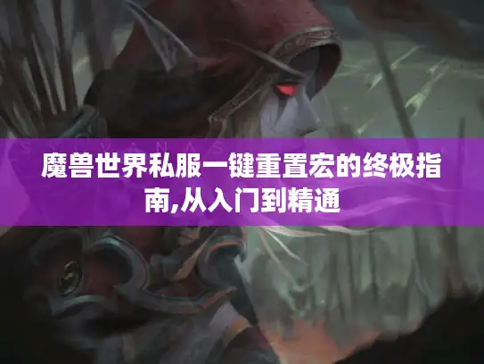 魔兽世界私服一键重置宏的终极指南,从入门到精通