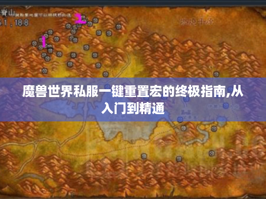 魔兽世界私服一键重置宏的终极指南,从入门到精通