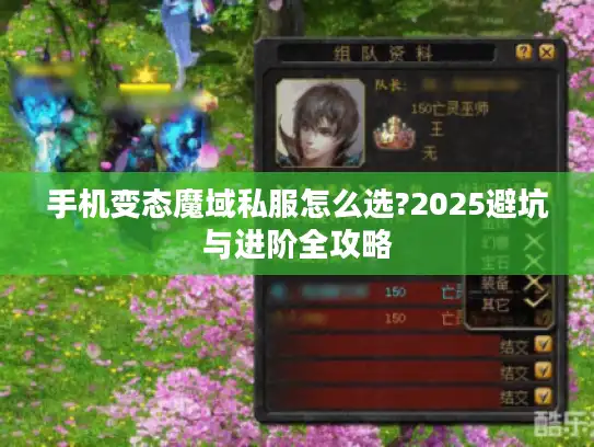 手机变态魔域私服怎么选?2025避坑与进阶全攻略