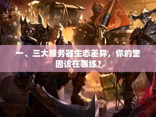 一、三大服务器生态差异，你的奎因该在哪练？
