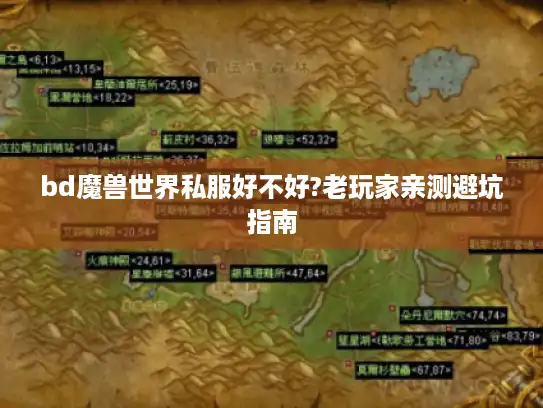 bd魔兽世界私服好不好?老玩家亲测避坑指南