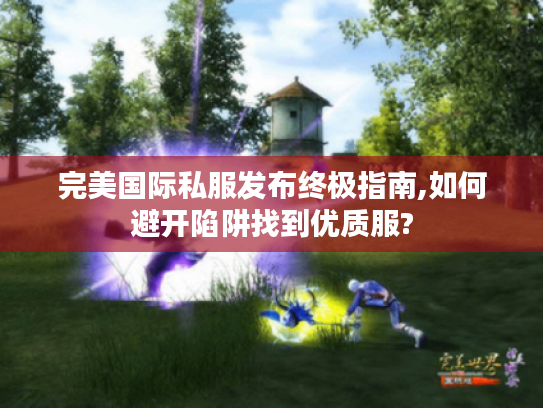 完美国际私服发布终极指南,如何避开陷阱找到优质服?