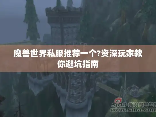 魔兽世界私服推荐一个?资深玩家教你避坑指南