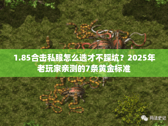 1.85合击私服怎么选才不踩坑？2025年老玩家亲测的7条黄金标准