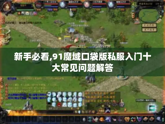 新手必看,91魔域口袋版私服入门十大常见问题解答