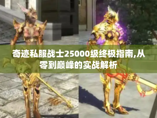 奇迹私服战士25000级终极指南,从零到巅峰的实战解析